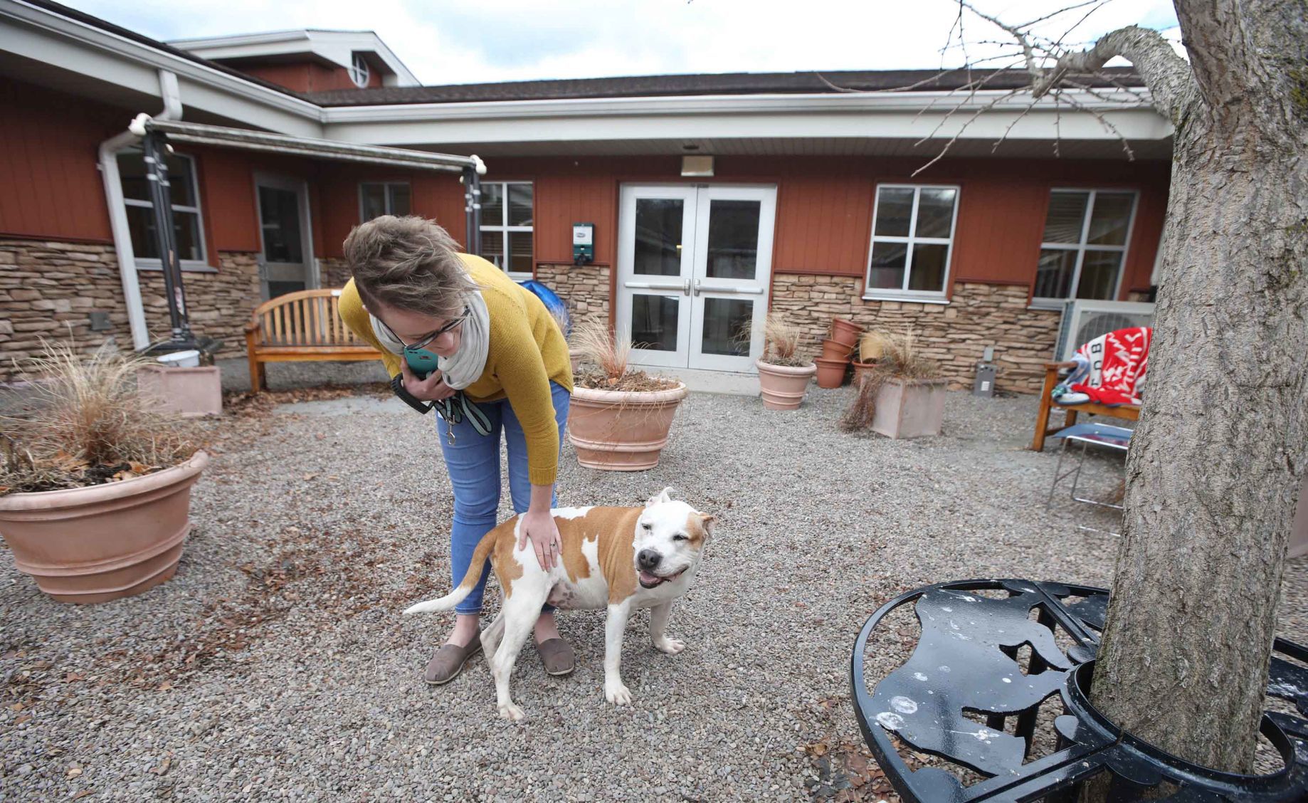 Animal shelters coronavirus